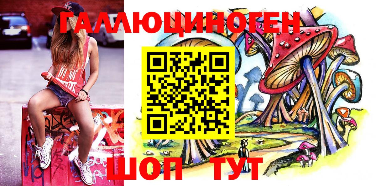 Псилоцибиновые грибы мицелий Кольчугино