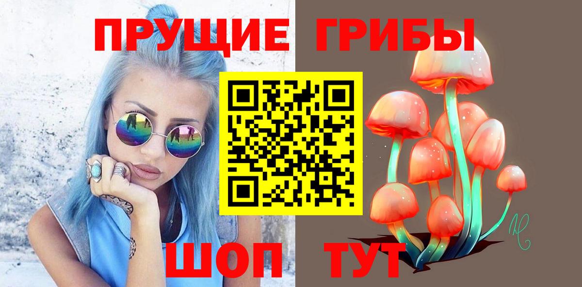 Кольчугино  Галлюциногенные грибы MAGIC MUSHROOMS  Псилоцибиновые грибы прущие грибы  Вход с VPN 