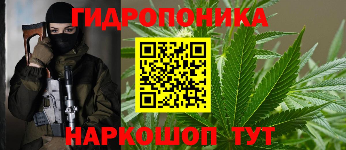 Конопля индика  Канабис сатива  Вход с VPN  Кольчугино  Конопля THC 21% 